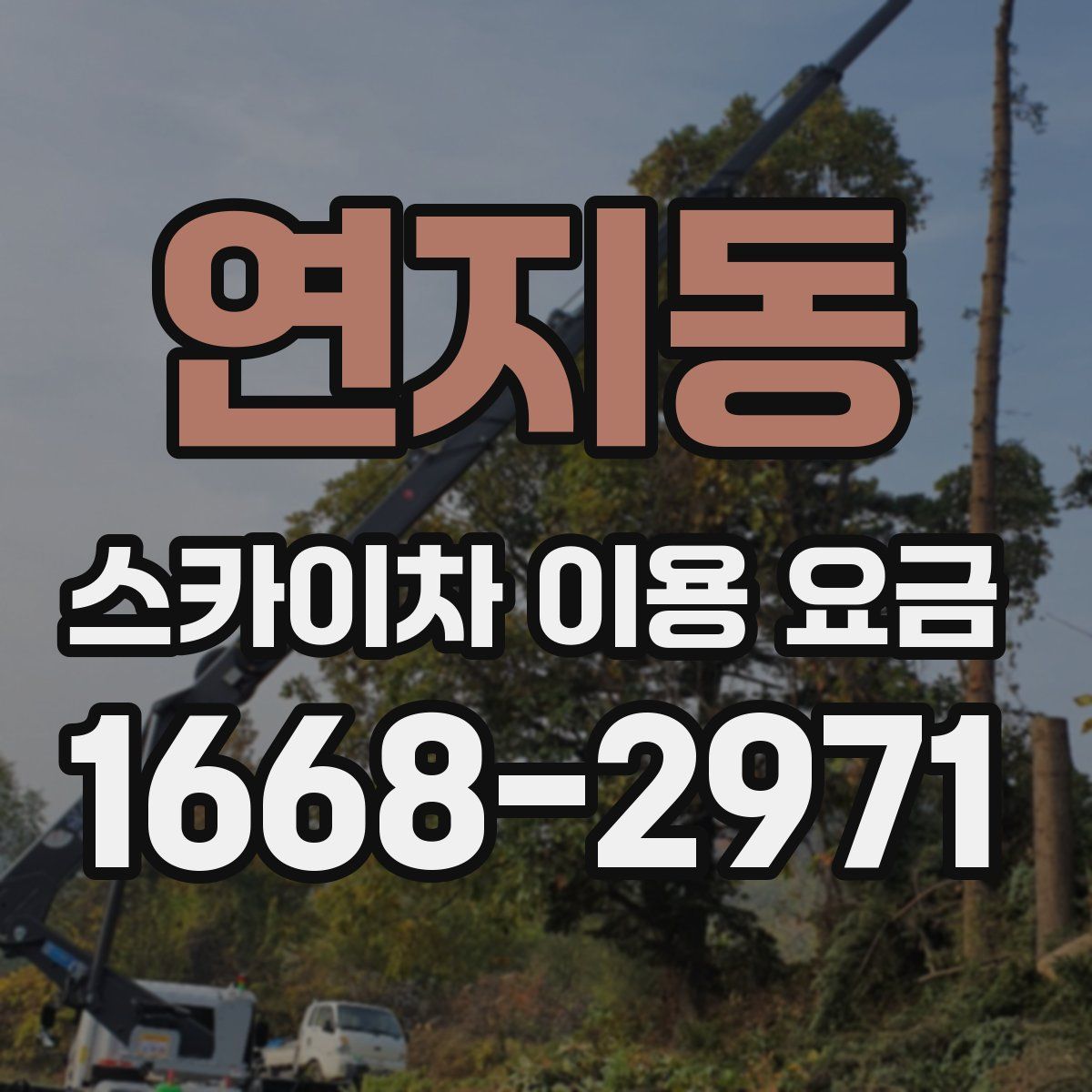 연지동 스카이차 이용 요금