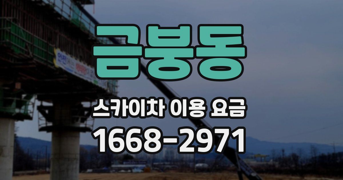 금붕동 스카이차 이용 요금