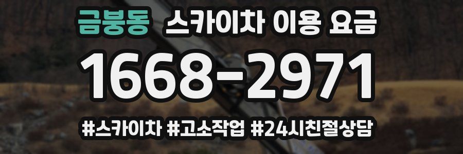 금붕동 스카이차 이용 요금