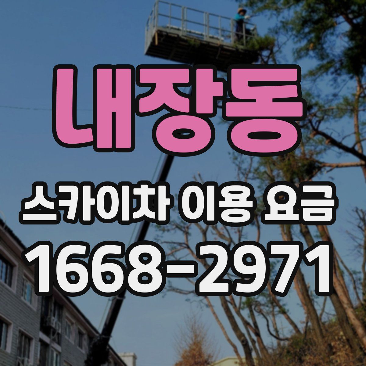 내장동 스카이차 이용 요금