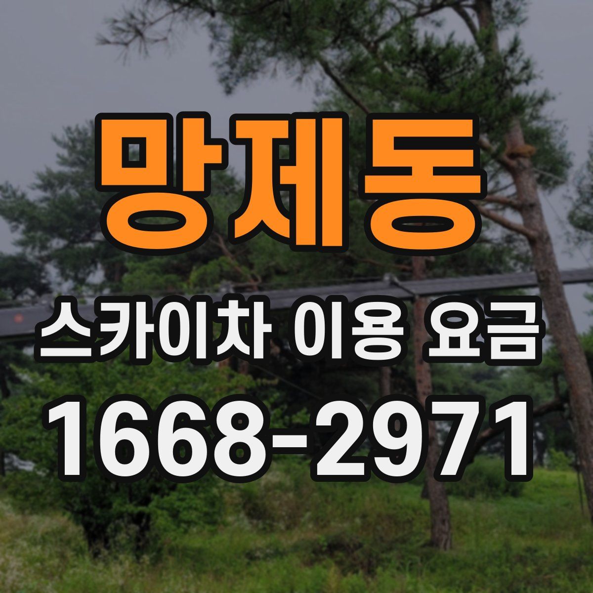 망제동 스카이차 이용 요금