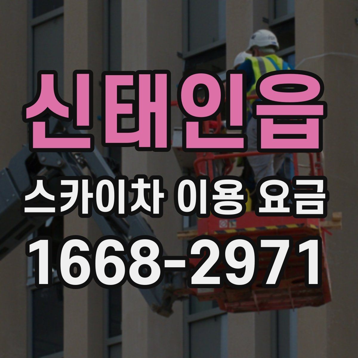 신태인읍 스카이차 이용 요금 책정에 영향을 주는 요소