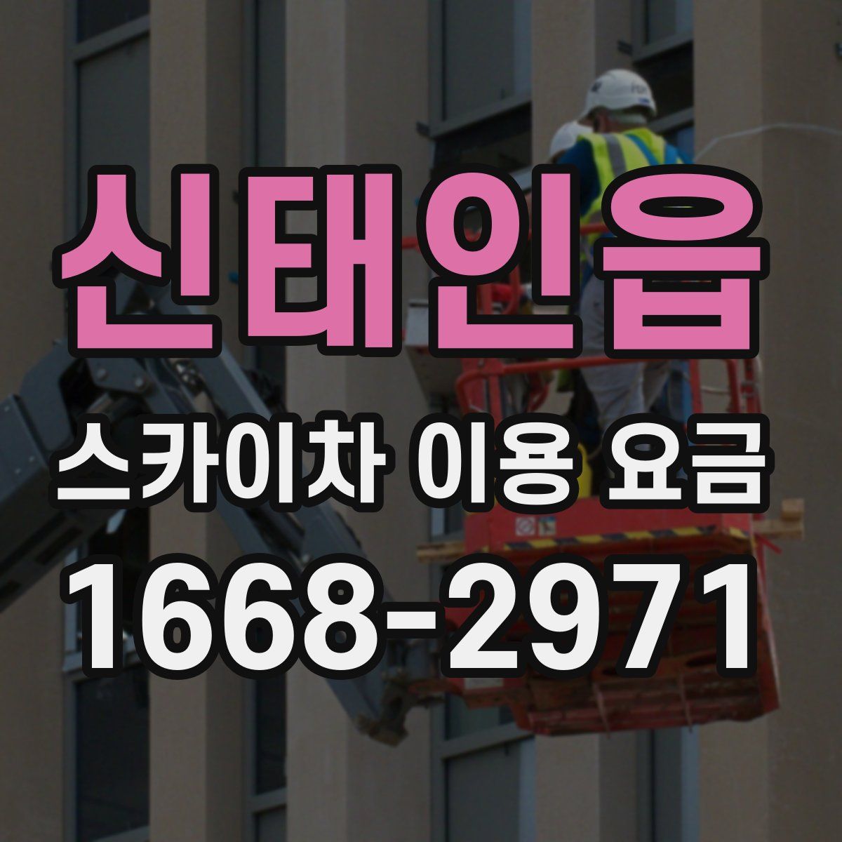 신태인읍 스카이차 이용 요금