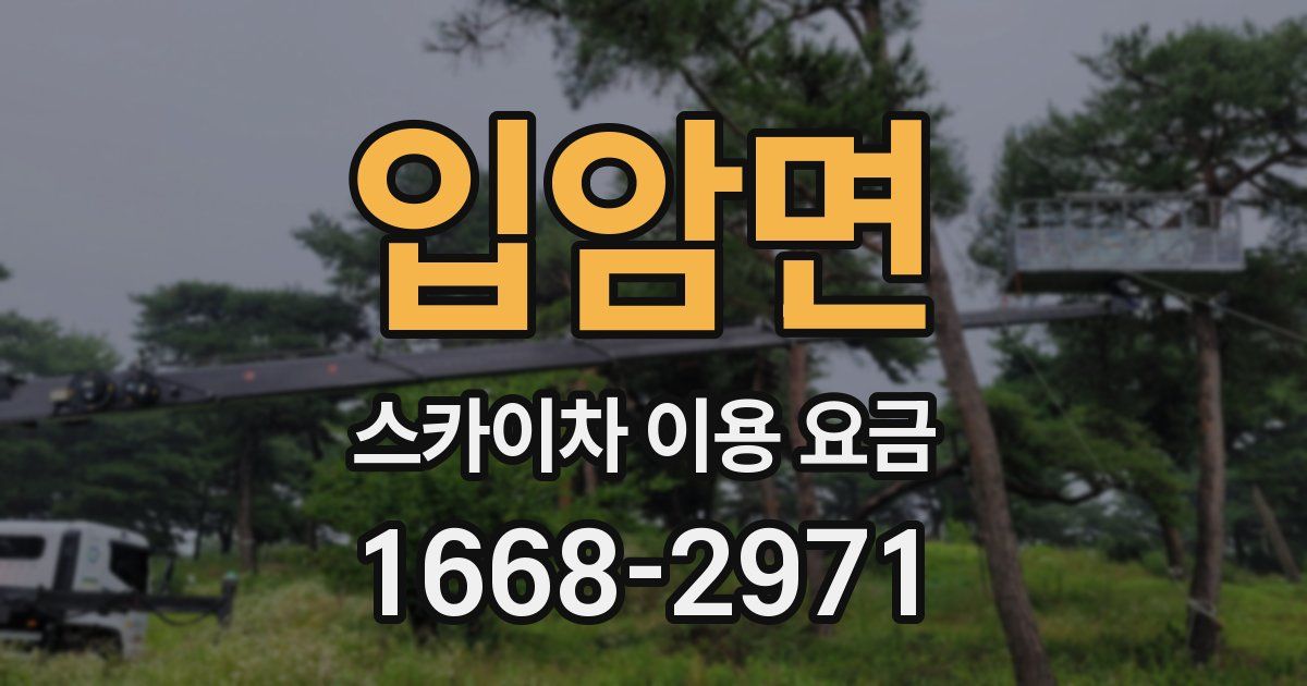 입암면 스카이차 이용 요금