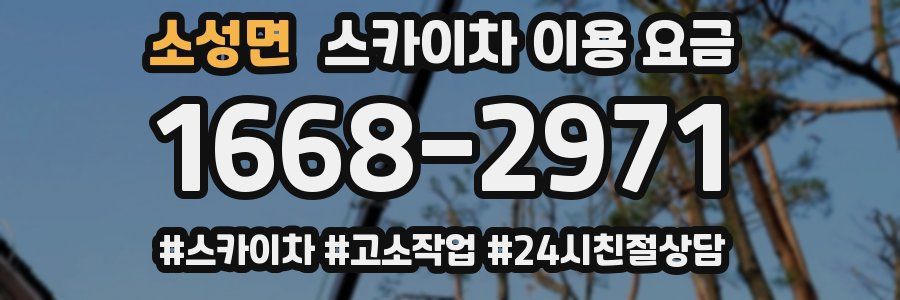 소성면 스카이차 이용 요금