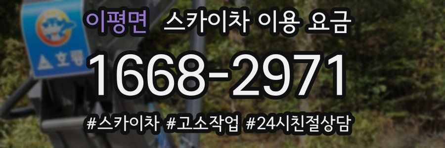 이평면 스카이차 이용 요금