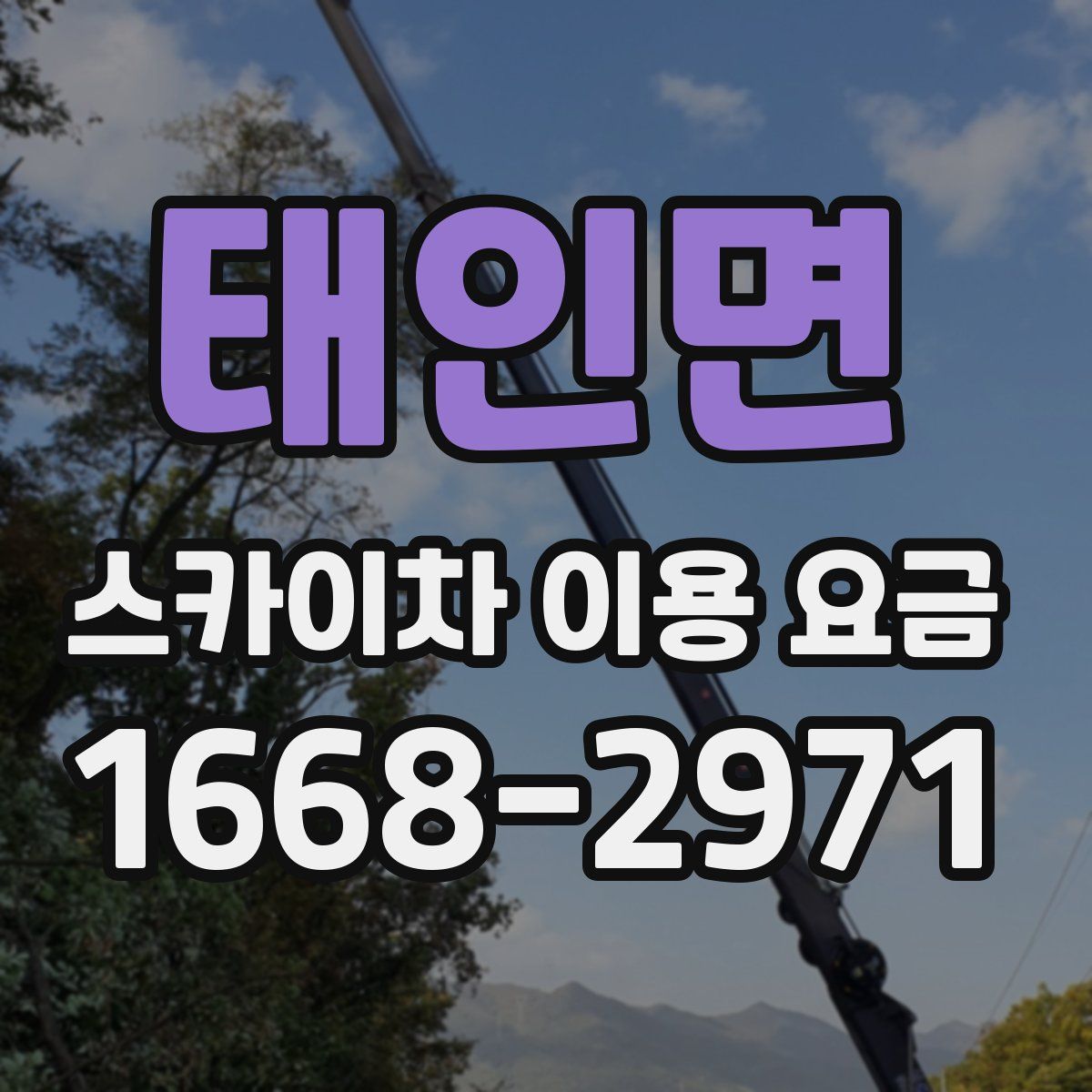 태인면 스카이차 이용 요금