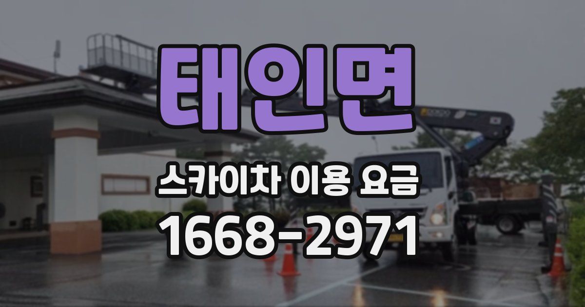 태인면 스카이차 이용 요금
