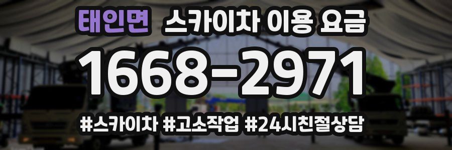 태인면 스카이차 이용 요금