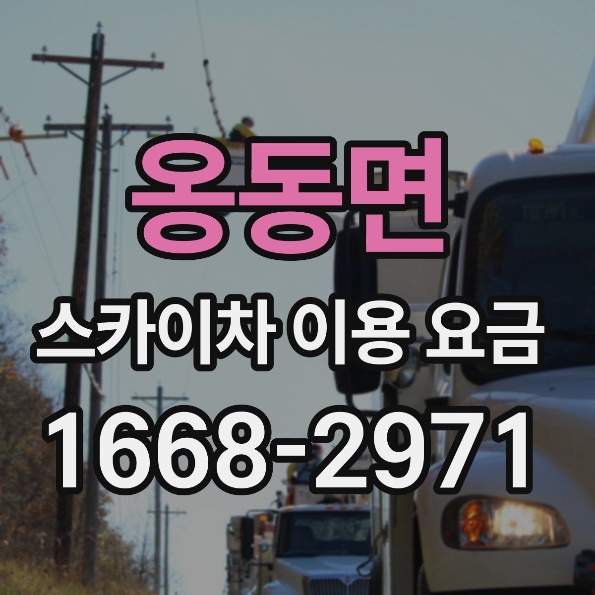 옹동면 스카이차 이용 요금
