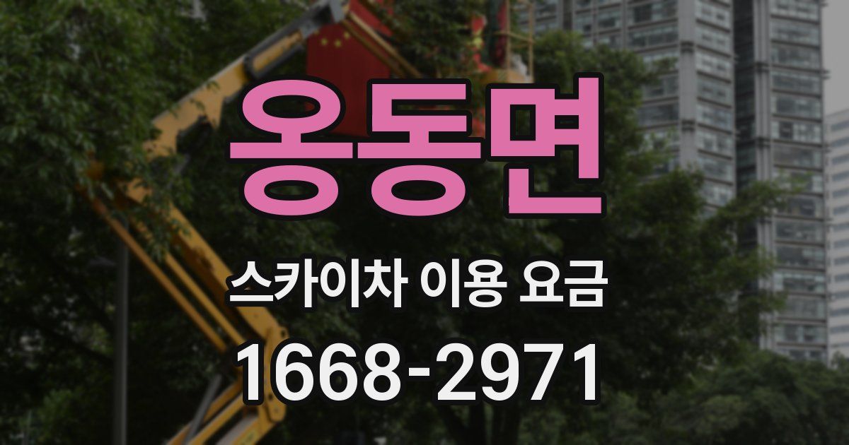 옹동면 스카이차 이용 요금