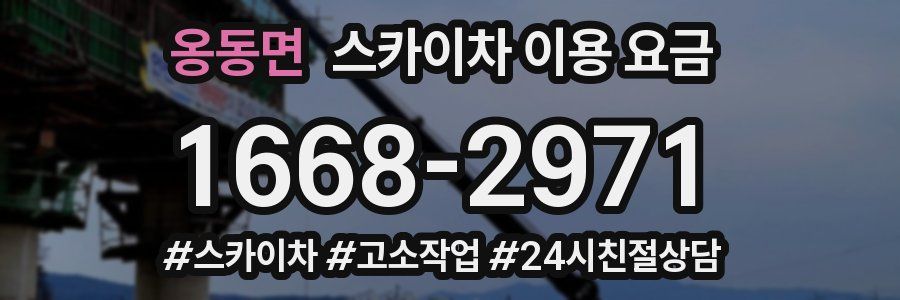 옹동면 스카이차 이용 요금