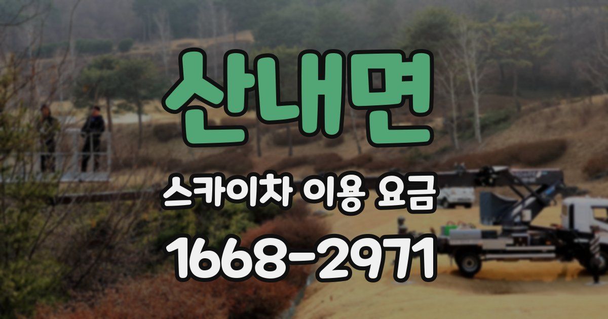 산내면 스카이차 이용 요금