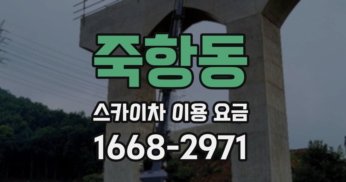 죽항동 스카이차 이용 요금