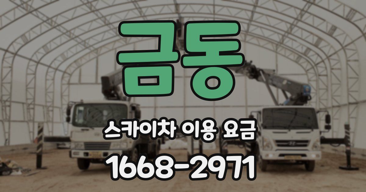 금동 스카이차 이용 요금