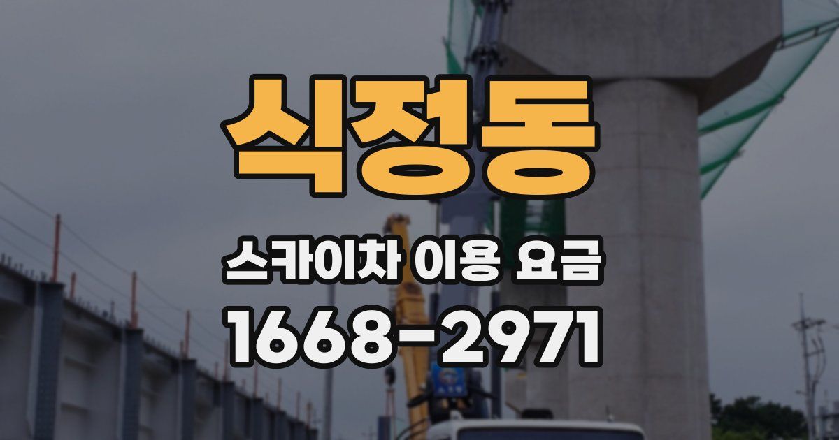 식정동 스카이차 이용 요금