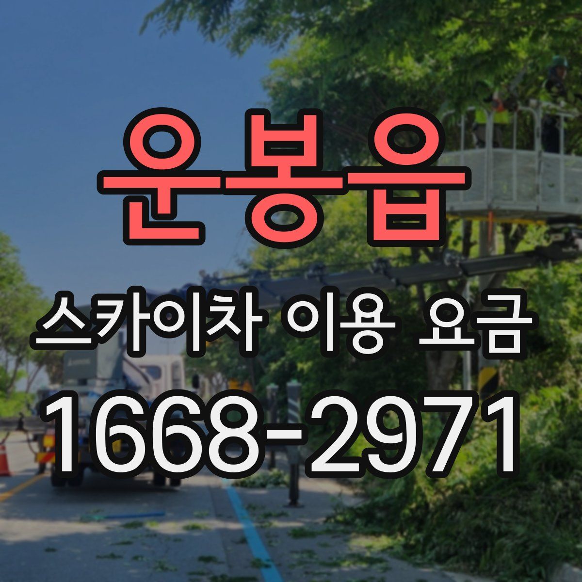 운봉읍 스카이차 이용 요금