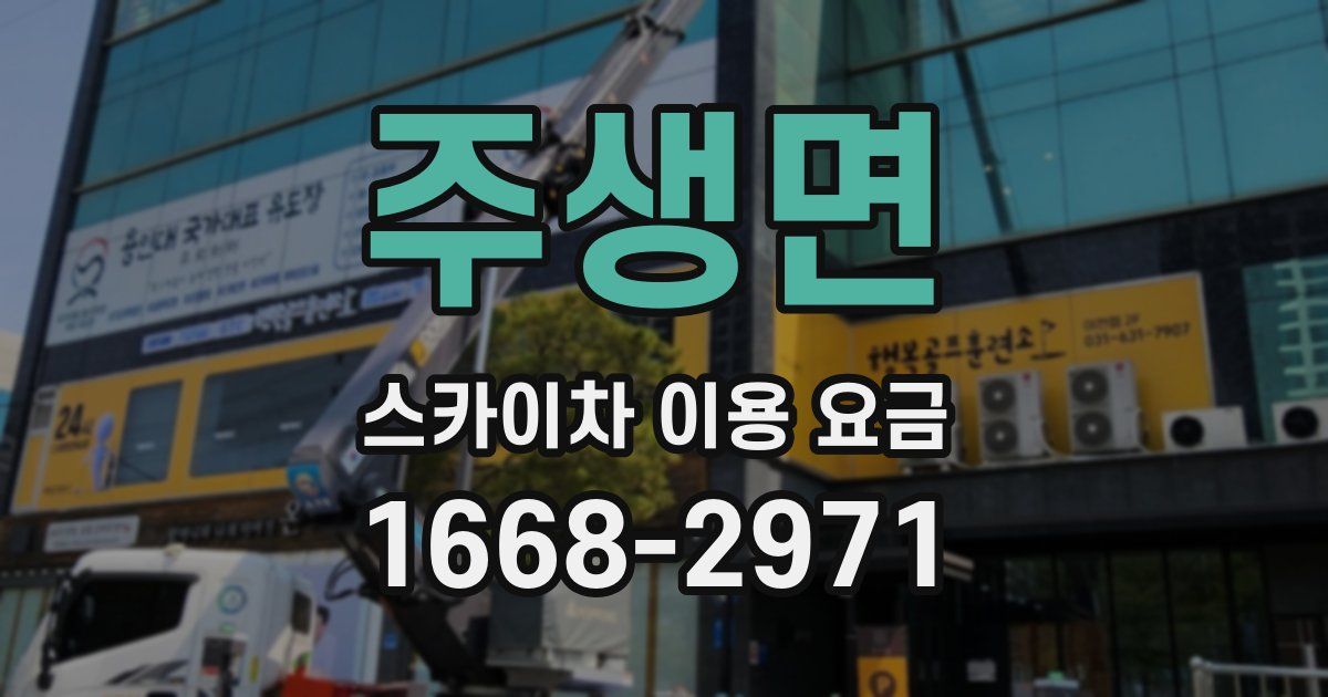 주생면 스카이차 이용 요금