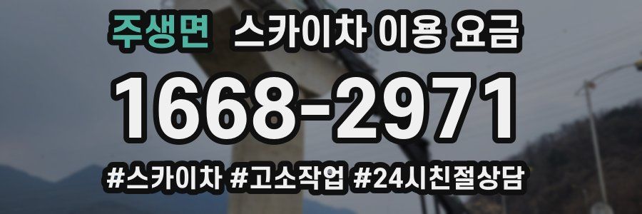 주생면 스카이차 이용 요금
