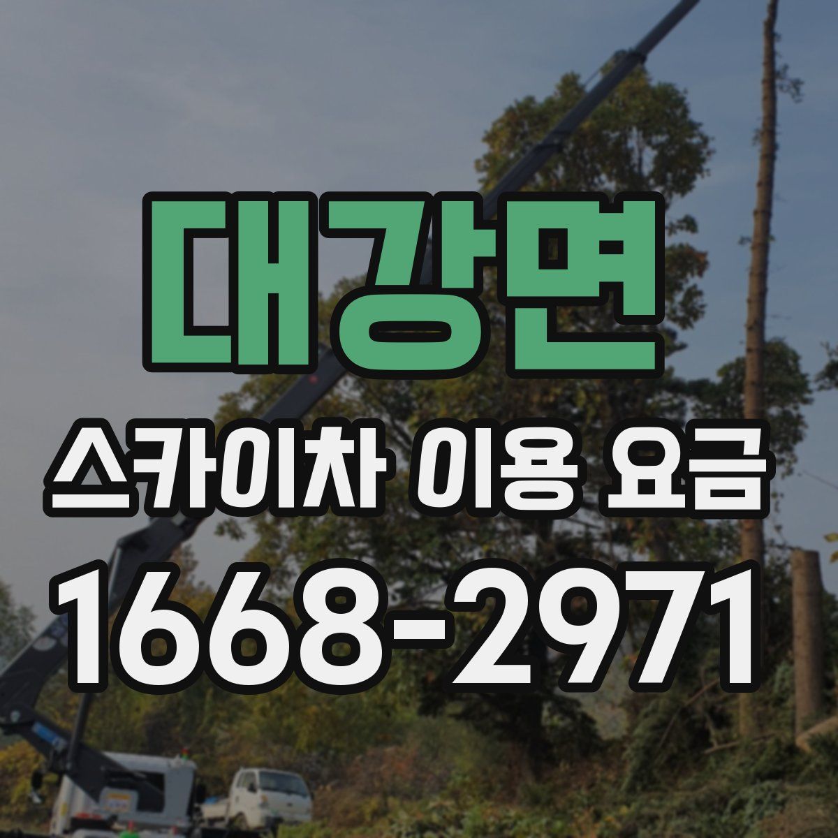 대강면 스카이차 이용 요금