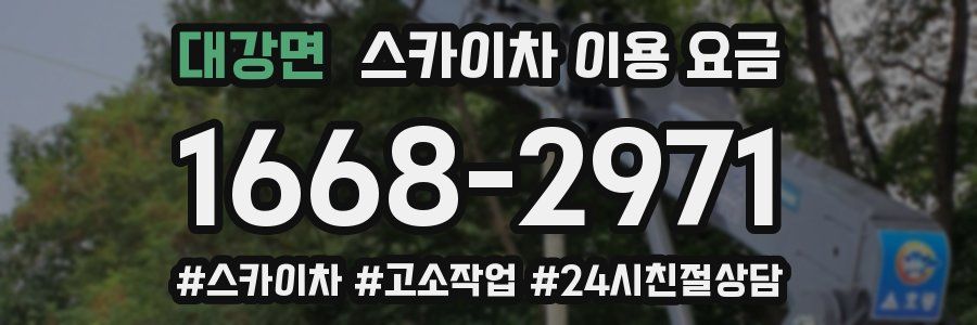 대강면 스카이차 이용 요금