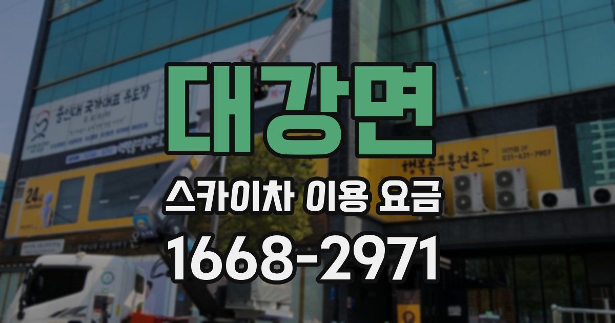 대강면 스카이차 이용 요금