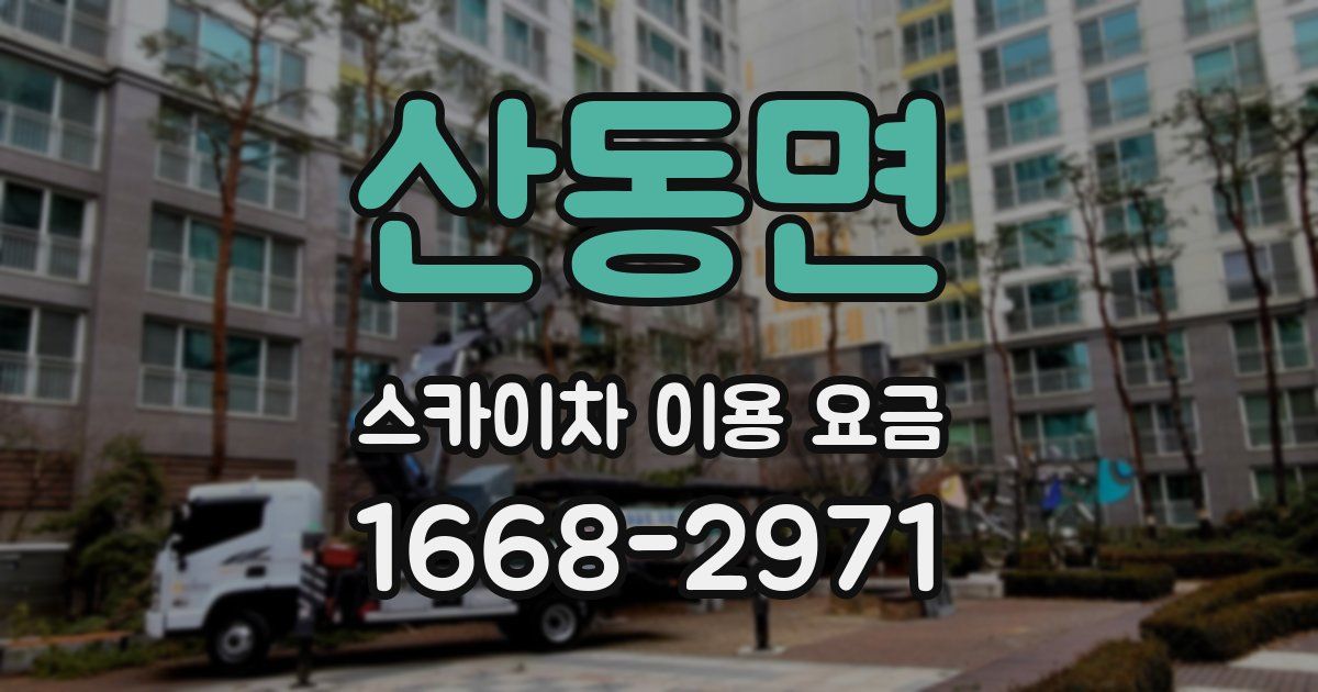 산동면 스카이차 이용 요금