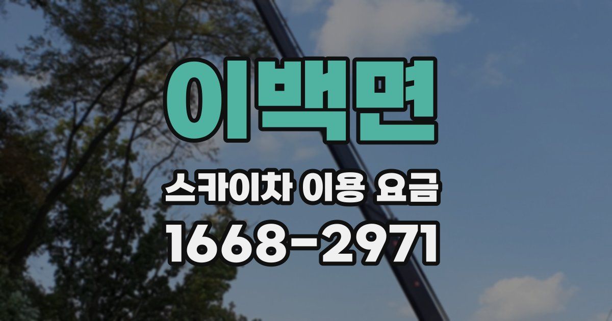 이백면 스카이차 이용 요금