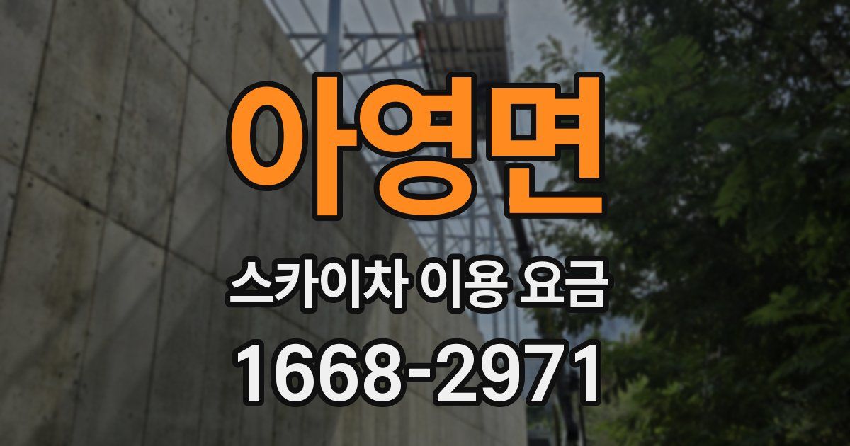 아영면 스카이차 이용 요금