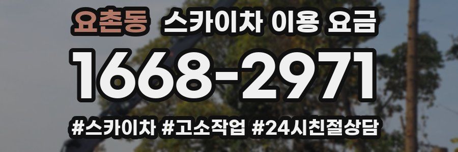 요촌동 스카이차 이용 요금
