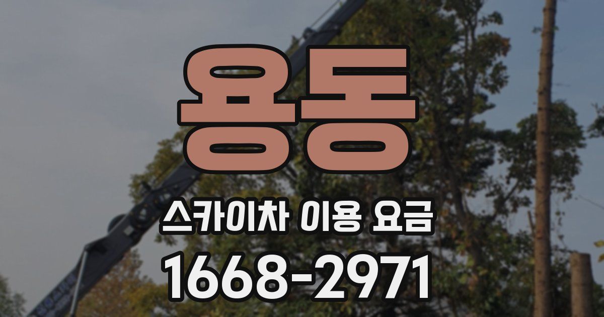 용동 스카이차 이용 요금