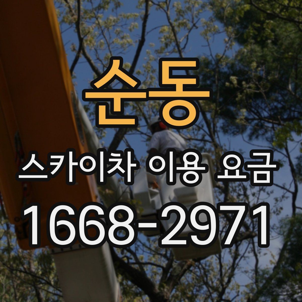 순동 스카이차 이용 요금 문의 전 준비하면 좋은 자료