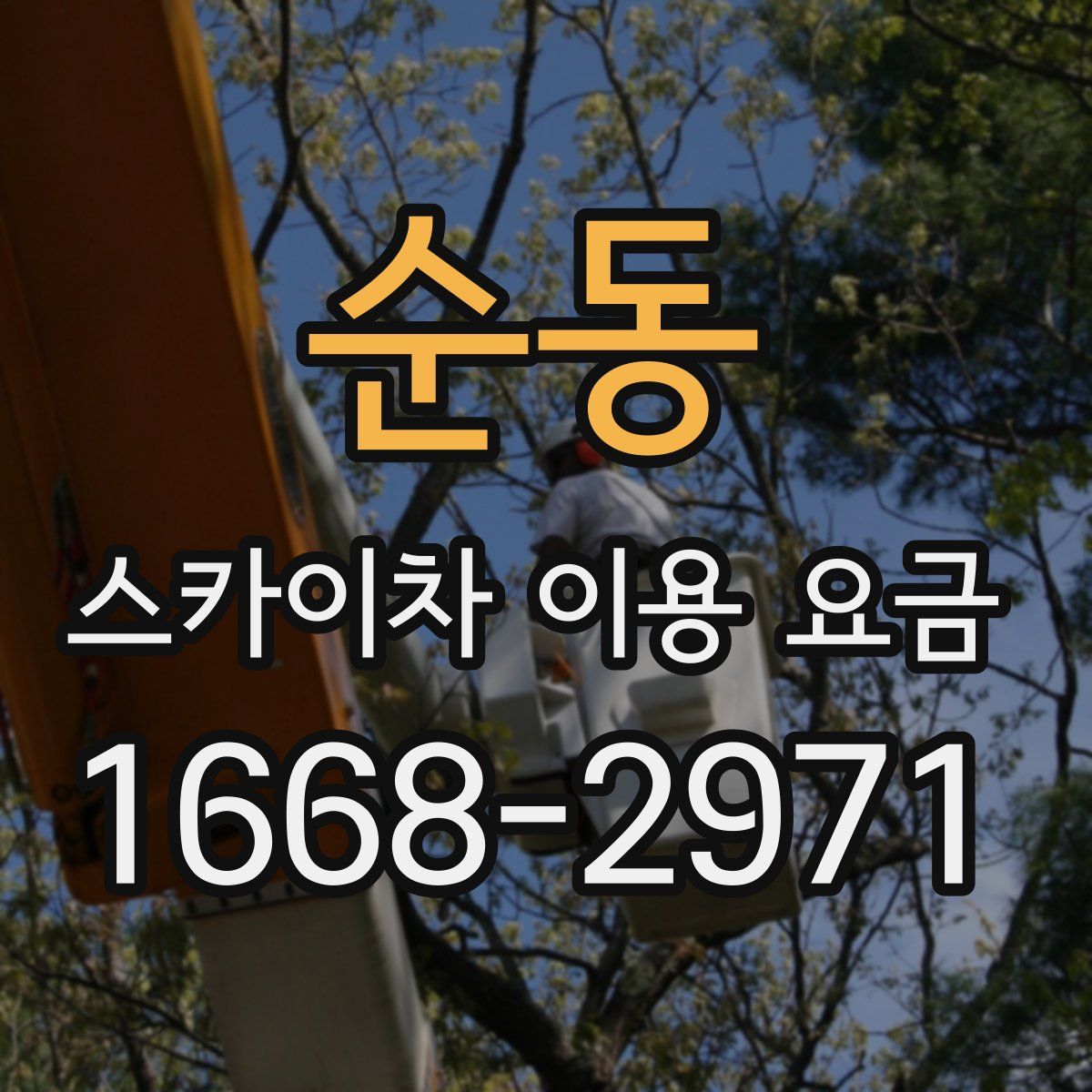 순동 스카이차 이용 요금