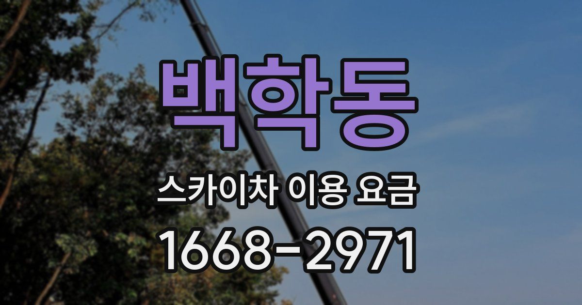 백학동 스카이차 이용 요금