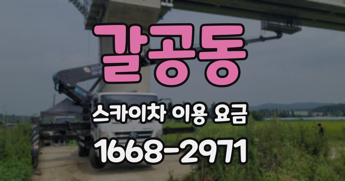 갈공동 스카이차 이용 요금