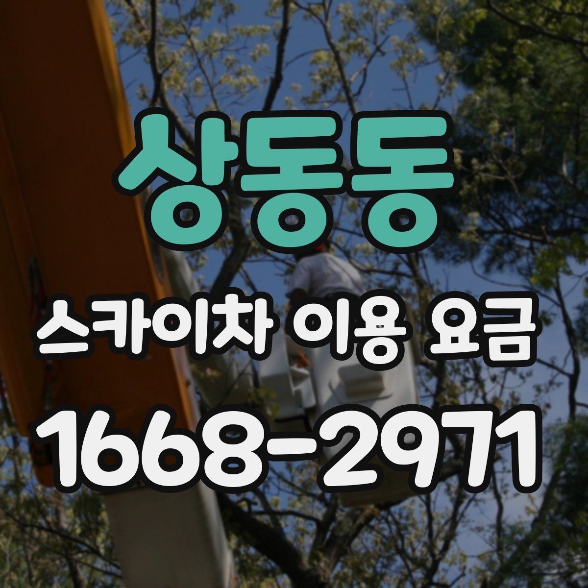 상동동 스카이차 이용 요금 비교 전에 알아야 할 핵심 항목