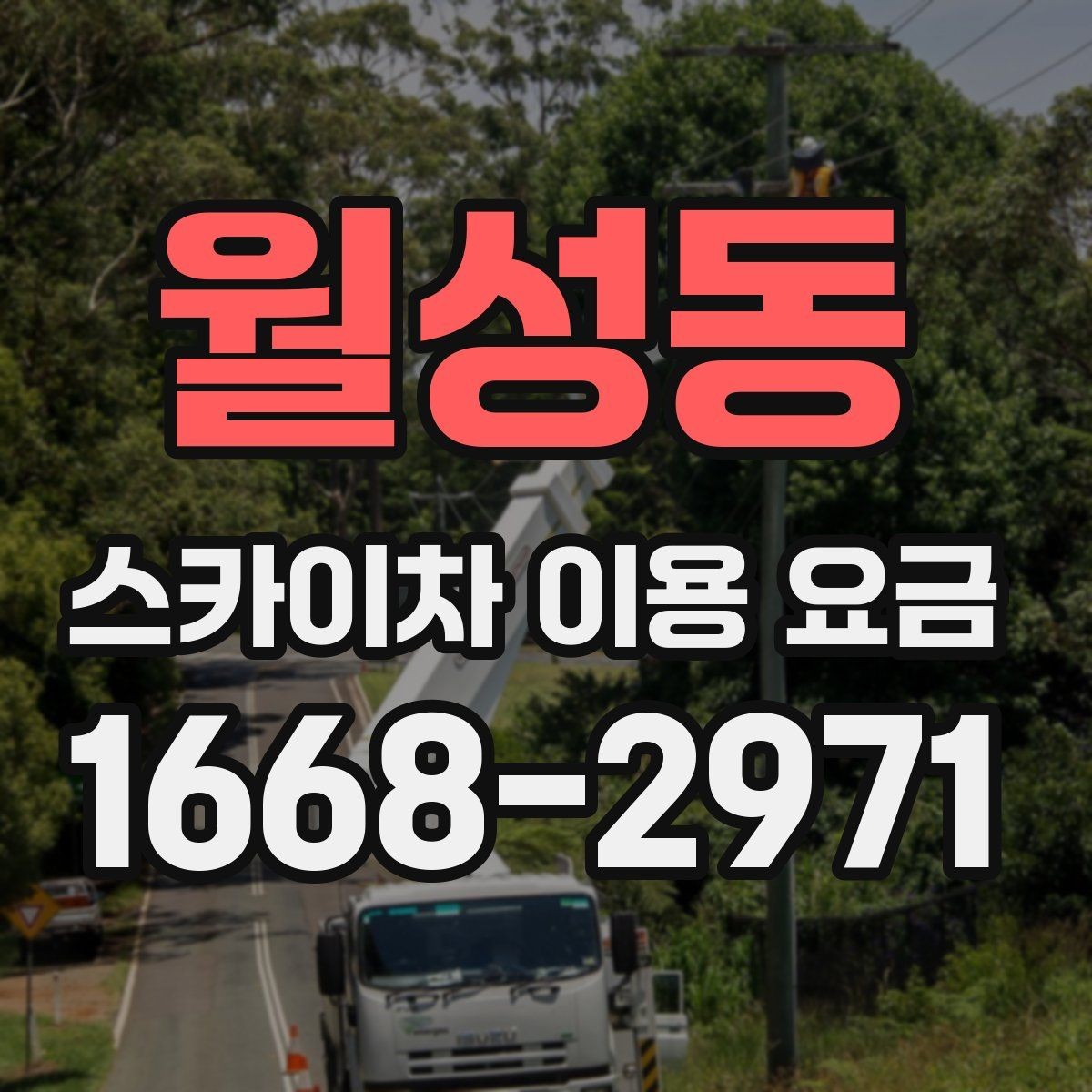 월성동 스카이차 이용 요금 비교를 위한 핵심 항목