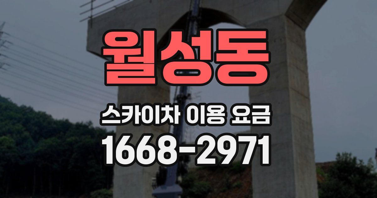 월성동 스카이차 이용 요금