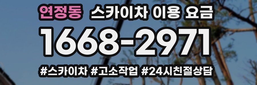 연정동 스카이차 이용 요금