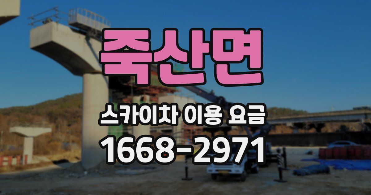 죽산면 스카이차 이용 요금