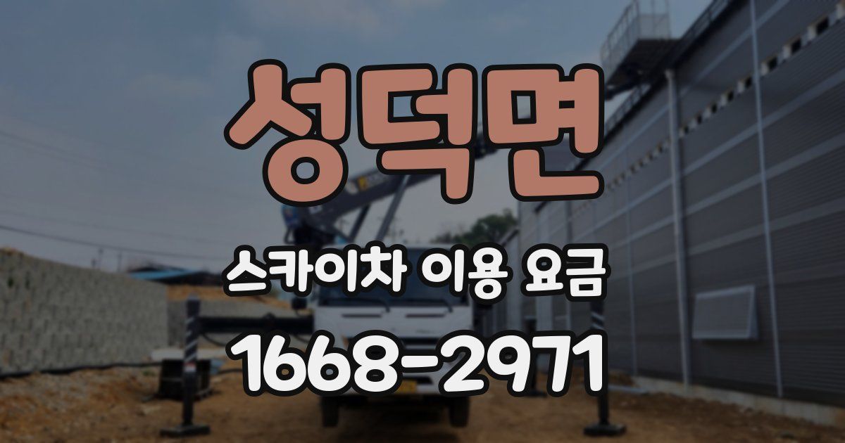 성덕면 스카이차 이용 요금