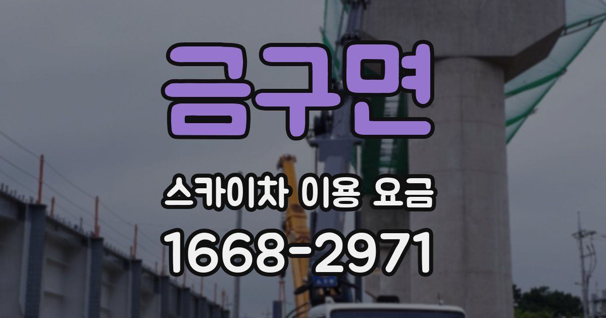 금구면 스카이차 이용 요금