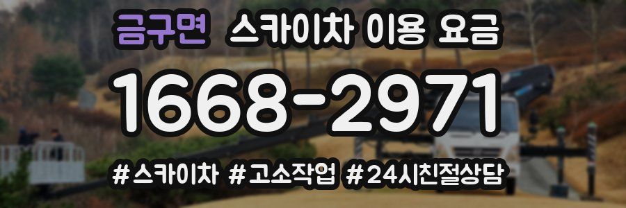 금구면 스카이차 이용 요금