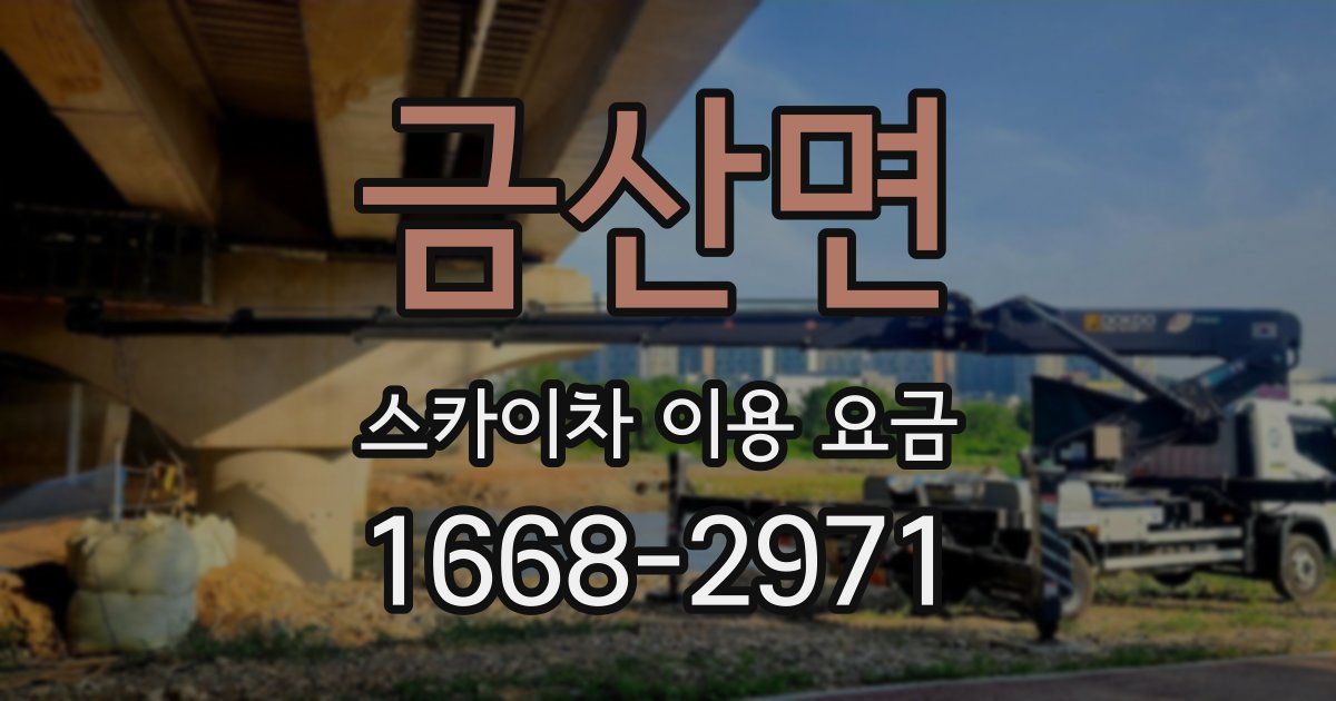 금산면 스카이차 이용 요금