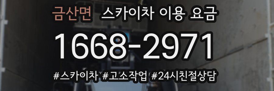 금산면 스카이차 이용 요금