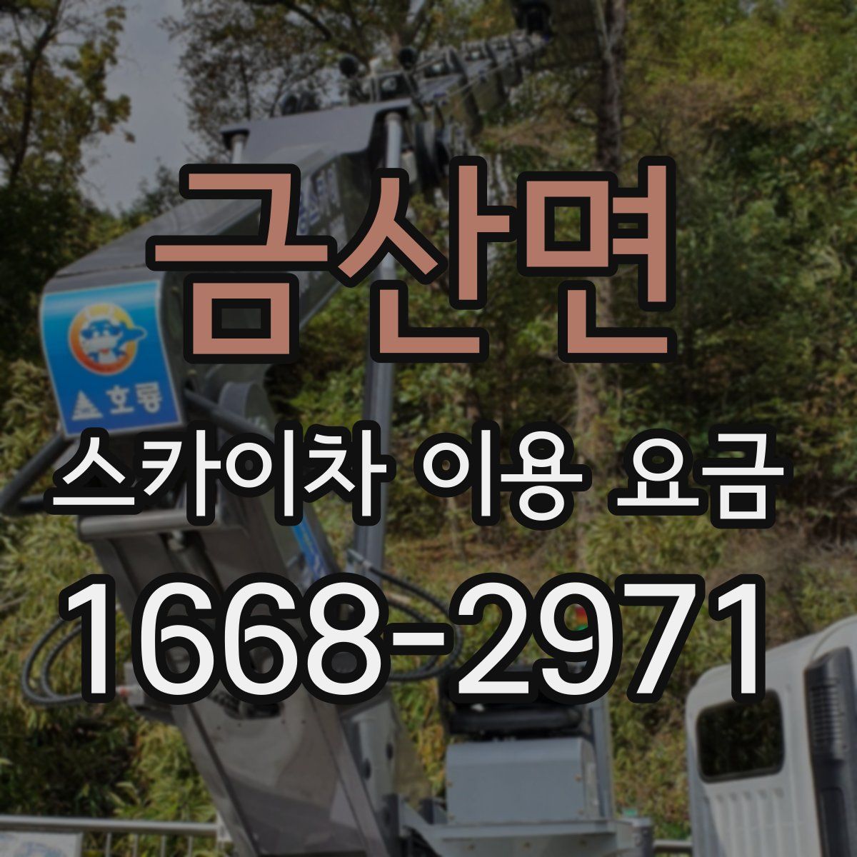 금산면 스카이차 이용 요금