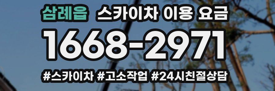 삼례읍 스카이차 이용 요금