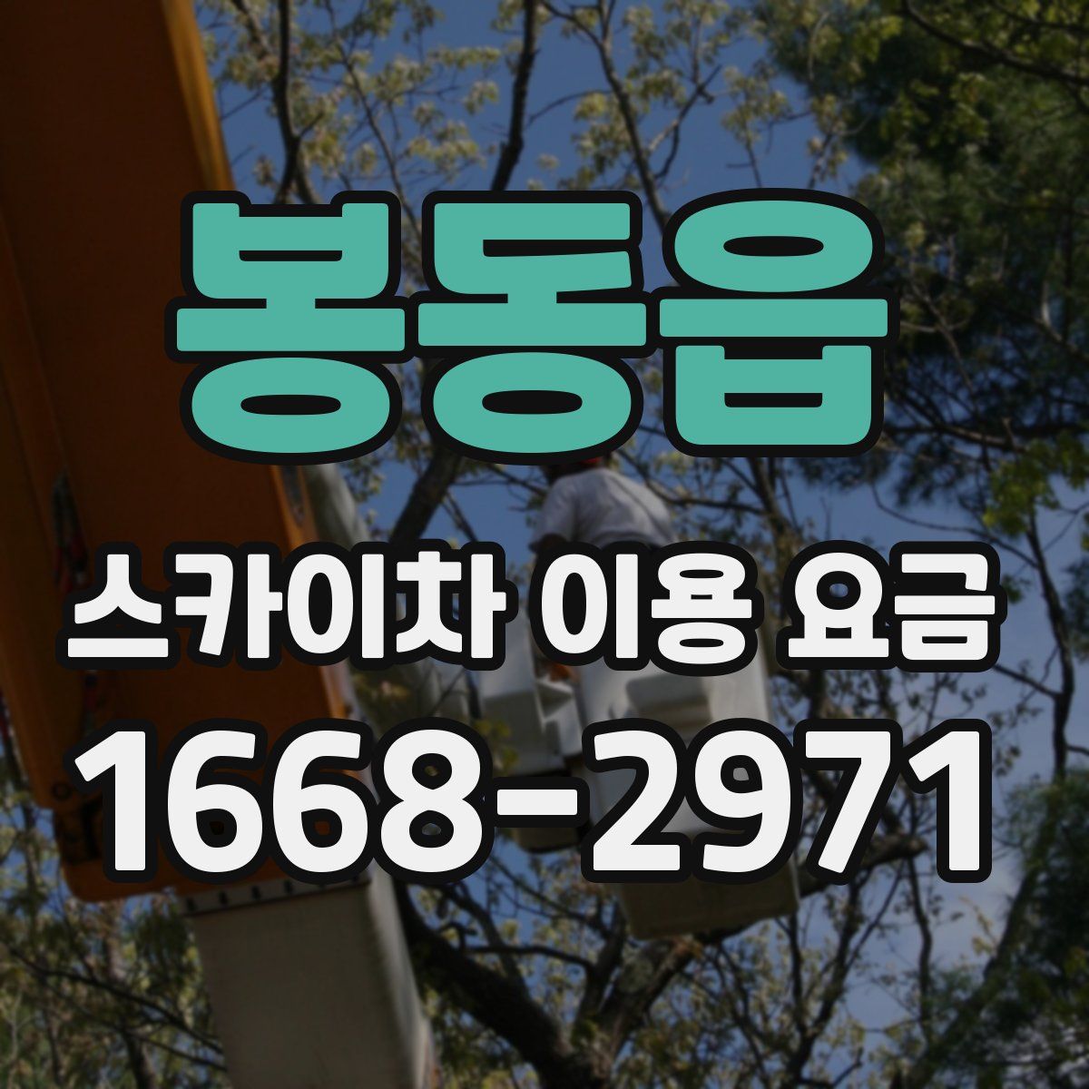 봉동읍 스카이차 이용 요금