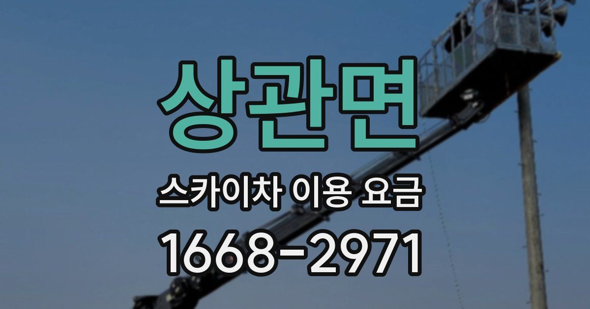 상관면 스카이차 이용 요금