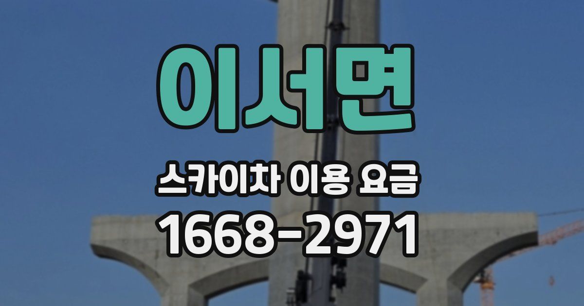 이서면 스카이차 이용 요금